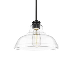 glass pendant light 1